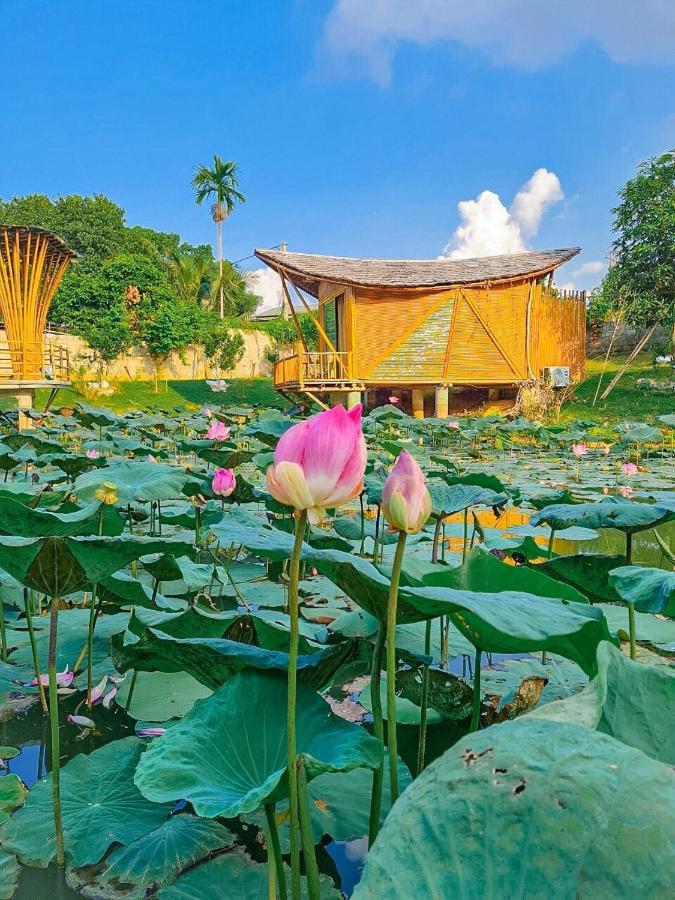 Little Bee House Hotel Trai Vang Exterior foto