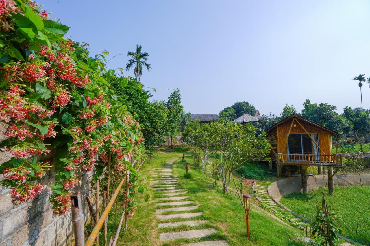Little Bee House Hotel Trai Vang Exterior foto